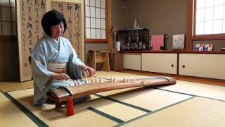 Sakura Sakura play on koto or Japanese harp by Keko Kanagawa in Kyoto Japan [upl. by Ettenuj134]