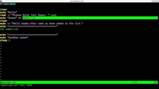 Writing your First Shell Script for Linux Tutorial [upl. by Nanor848]