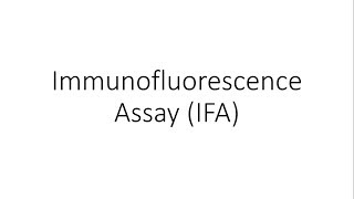 Immunofluorescence Assay IFA  Immunology [upl. by Hanafee]