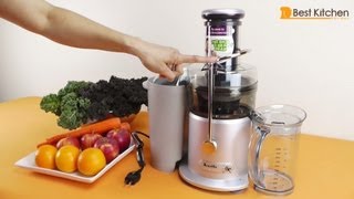 Breville JE98XL Juice Fountain Plus 850Watt Juice Extractor Review [upl. by Robma]