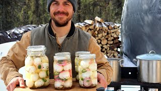 Pickled Eggs  Preserving the Perfect Snack [upl. by Fabian]