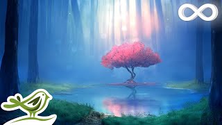 Deep Relaxing Music • Meditation Music Sleep Music Ambient Music [upl. by Cyma]