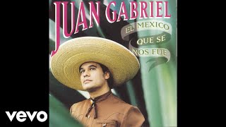 Juan Gabriel  El Recurso Cover Audio [upl. by Airtemed]