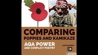 Comparing Poppies to Kamikaze [upl. by Odel]