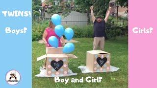 10 Twin Gender Reveal 2018  Twins Pregnancy Announcement [upl. by Annaeerb681]