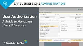 SAP Business One User Authorization  A Guide to Managing Users amp Licenses [upl. by Nnaeirrac37]