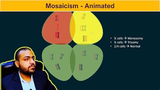 Mosaicism Basic Concepts [upl. by Leirud]