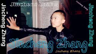 Jincheng Zhang  Direction I Love You Background Music Instrumental Song Official Audio [upl. by Rozele563]