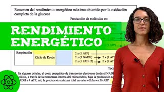 EJERCICIO de METABOLISMO  Rendimiento energético  aeróbicaanaeróbica [upl. by Naitsabes]