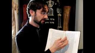 Review of Artscroll Stone Edition Tanach Hebrew  English [upl. by Acirdna232]