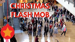 Christmas flash mob [upl. by Annairba]