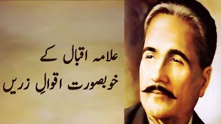 Allama Iqbal Aqwal e Zareen  Allama Iqbal Motivational amp Inspirational Quotes In Urdu Hindi [upl. by Mad]