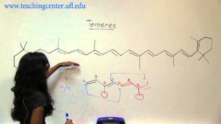 Recognizing Terpenes [upl. by Lothario102]