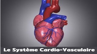 Le système cardiovasculaire [upl. by Ettevram27]