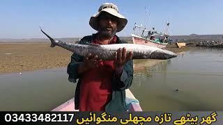 Information About Surmai  King Fish  Pakistan Biggest Fishery  Karachi Fish Market [upl. by Ryann]