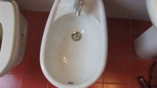 How to  How to Use the Bidet [upl. by Daahsar884]