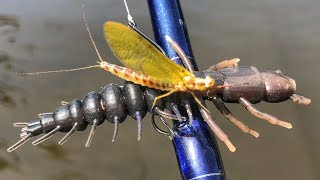 Slammin Smallies During The Mayfly Hatch [upl. by Zadack341]