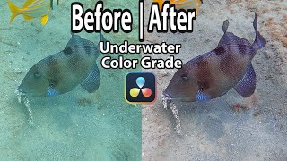 Davinci Resolve 17 Underwater Color Grading Tutorial OC from GoPro Hero 9 [upl. by Dulcle859]