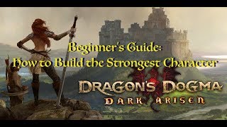 Dragons Dogma Guide for Beginners Levels Stats Vocations Skills and Discipline [upl. by Newnorb]