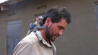 Baby Vervet Monkey Rescued from African Brush Fire [upl. by Nailuj]