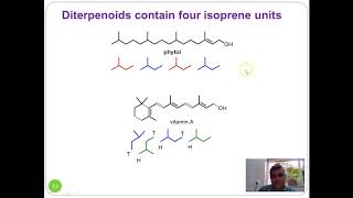 Lecture 1 Terpenes and Terpenoids [upl. by Amadus]