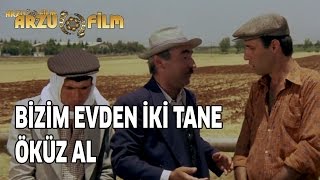 Git Bizim Evden 2 Tane Öküz Al  Kibar Feyzo [upl. by Raycher]