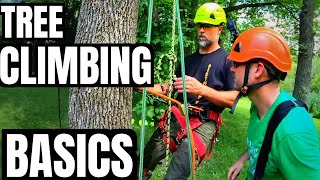 Tree Climbing Basics What Equipment Do I Need To Climb a Tree  Basic Gear  Stan Dirt Monkey [upl. by Fanchette]