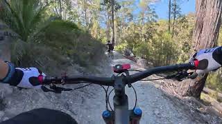 Narooma Mountain Bike Park  The Whale Trail December 2024 [upl. by Veda]