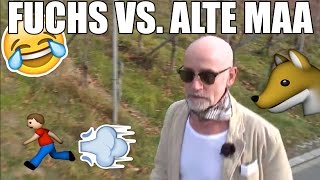 SWISSMEME FUCHS JAGT ALTE MAA [upl. by Llebana]