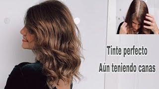 Cómo teñir el pelo en casa como una profesional  Tips trucos para que quede perfecto [upl. by Ilatfen]