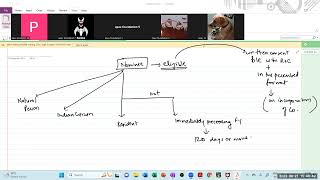 CA FOUNDATION DECEMBER 2023 JUNE 2024 SUGGESTED ANSWERS FOR COMPANIES ACT 2013 [upl. by Derrik337]