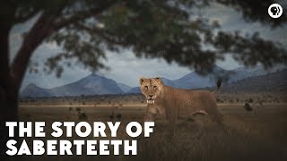 The Story of Saberteeth [upl. by Noitna]