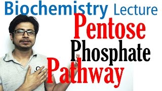 Pentose phosphate pathway [upl. by Arihppas]