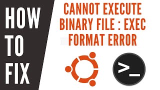 Bash  Executable  Cannot Execute Binary file  Exec Format Error [upl. by Bleier]