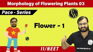 Morphology of flowering plants 03  Flower  1  Class 11  NEET  Pace Series [upl. by Ebaj964]