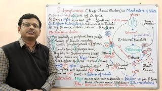 Diabetes Mellitus Part10 Mechanism of Action of Sulfonylurease  Antidiabetic Drugs  Diabetes [upl. by Crawford]