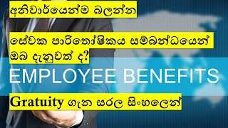 සේවක පාරිතෝෂිතය ගැන ඔබ දන්නවාද  Gratuity  Employee Retirement Benefits  Sinhala [upl. by Yasui]