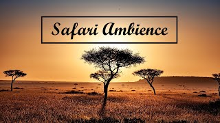 SAFARI AMBIENCE  Background music in the wilderness [upl. by Aspasia764]