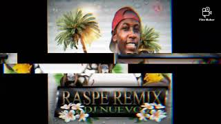 Raspe Remix Verano 2020 [upl. by Eeliram]