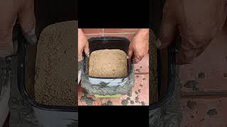 Creative Ideas  Making Flower Pots From Cement [upl. by Proudfoot]