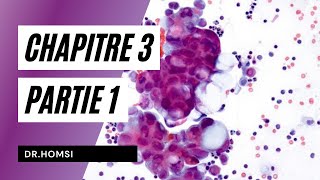 Cytologie  Chapitre 3 P1  Dr Homsi [upl. by Nosae]