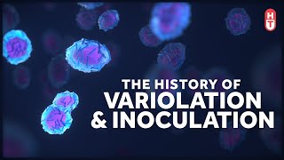 Who Invented Vaccines A History of Variolation and Innoculation [upl. by Kcirddot]