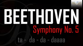 Beethoven Symphony No 5 [upl. by Etnovert810]