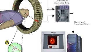 how does PET Scan Works [upl. by Raffaello163]