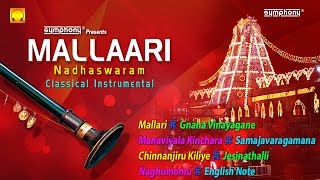 Nadhaswaram Music  Mangala Vadyam  Nadaswaram Thavil Music [upl. by Essyla977]