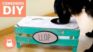 COMEDERO casero para PERROS  Manualidades para perros [upl. by Gemma]