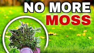 Can these 3 Methods Instantly KILL Moss in the Lawn [upl. by Loris]