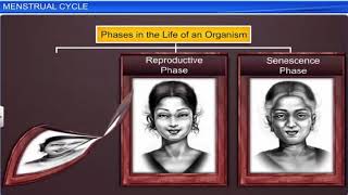 CBSE Class 12 Biology  3  Human Reproduction  Full Chapter  NCERT Animation  JEE NEET CBSE [upl. by Kciregor]