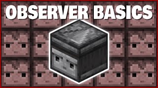 Minecraft Observer Basics  How to Use Observers [upl. by Clio668]