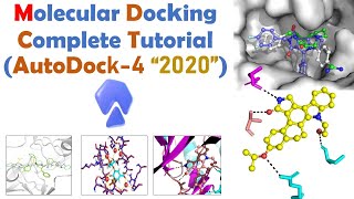 Molecular docking for Beginners  Autodock Full Tutorial  Bioinformatics [upl. by Mandych]